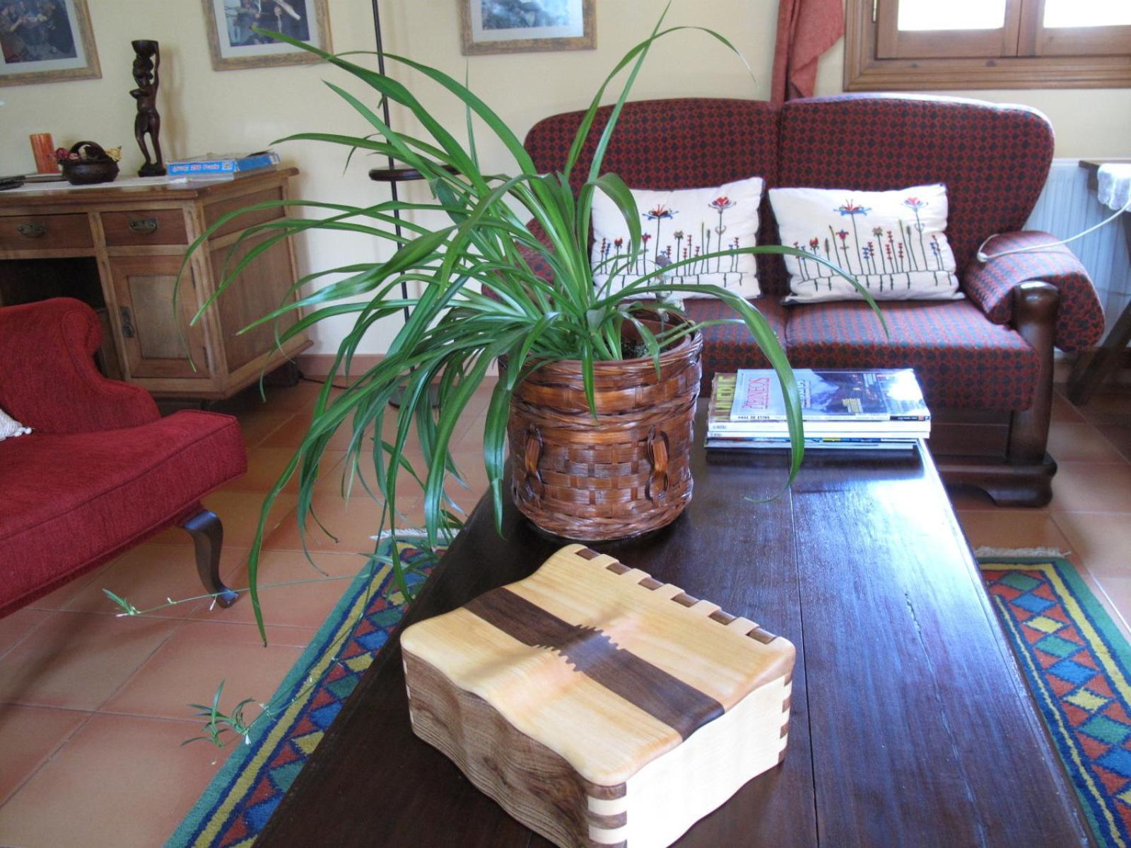 Hotel Casa Anita ซาน ฮวน เด แปลน ภายนอก รูปภาพ